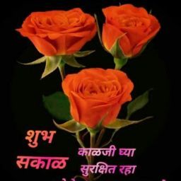 Ritesh Pawar