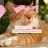 I love cats :3-avatar
