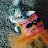 The ORourke Cat chronicles-avatar