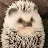 Hedgehog-avatar
