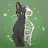 Schrödinger's Cat-avatar
