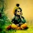 Swami Keshavananda-avatar