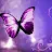 Butterfly Angel-avatar