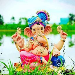 HARI KRISHNA THOTA