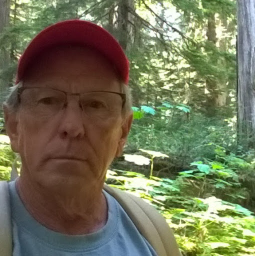 Hal Stedman