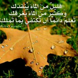احمد على