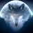 avid wolf-avatar