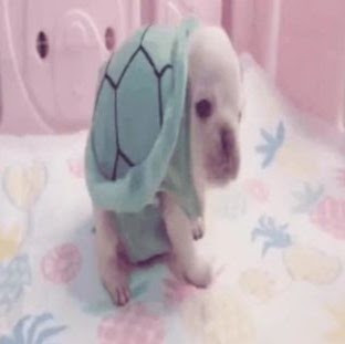 Balia Needs therapy