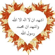 mahmoud