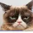 Grumpy Cat-avatar