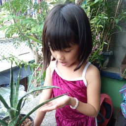 author