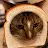 Cat Bread-avatar