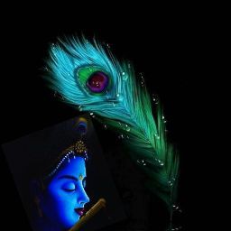 Satyam Kr Ray