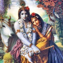 Prasanna shaji
