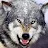 Wolf Prod-avatar