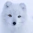 artic fox-avatar