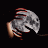 Moon-avatar