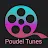 Poudel Tunes-avatar