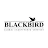 Blackbird Worldwide-avatar