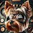 LionbI4-avatar