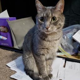 author