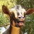a Goat-avatar