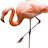 Flamingo123e-avatar