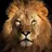 Lion King-avatar