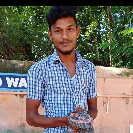 NaveenKumar P