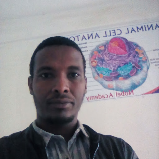 Mohammad Woliy