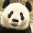 Panda-avatar