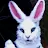 Dabunny Rabbit-avatar