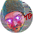 TG Whitta-avatar