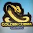 Golden Cobra Gaming-avatar