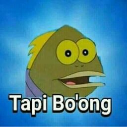 Tapi Boong