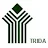 TRIDA Engineering Wing-avatar