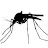Zanzara-avatar