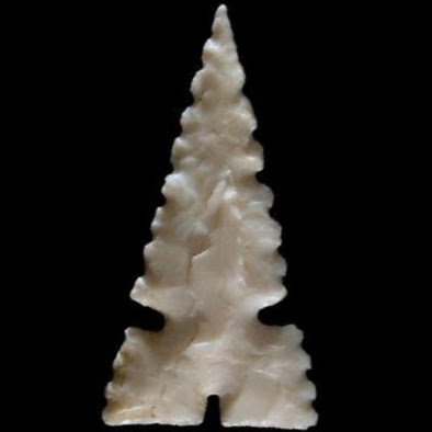 Palmetto NDN