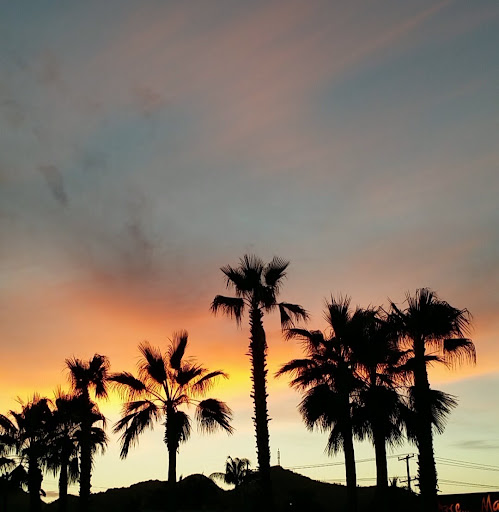 Clovis del Cabo