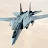 F-14D Super Tomcat-avatar