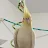 parrot Crystal-avatar