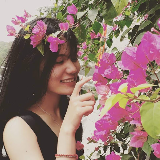 dinh phung