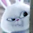 Rocket Bunny-avatar