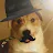 The Dapper Dog-avatar