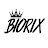 Biorix-avatar
