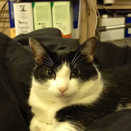 Ilovemycat