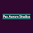 Pax Aurora Productions-avatar