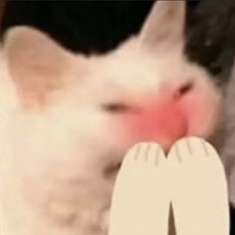 Kitty Woods