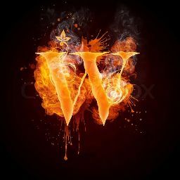 Wylde Style