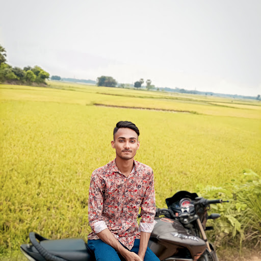 Sisir Gaming